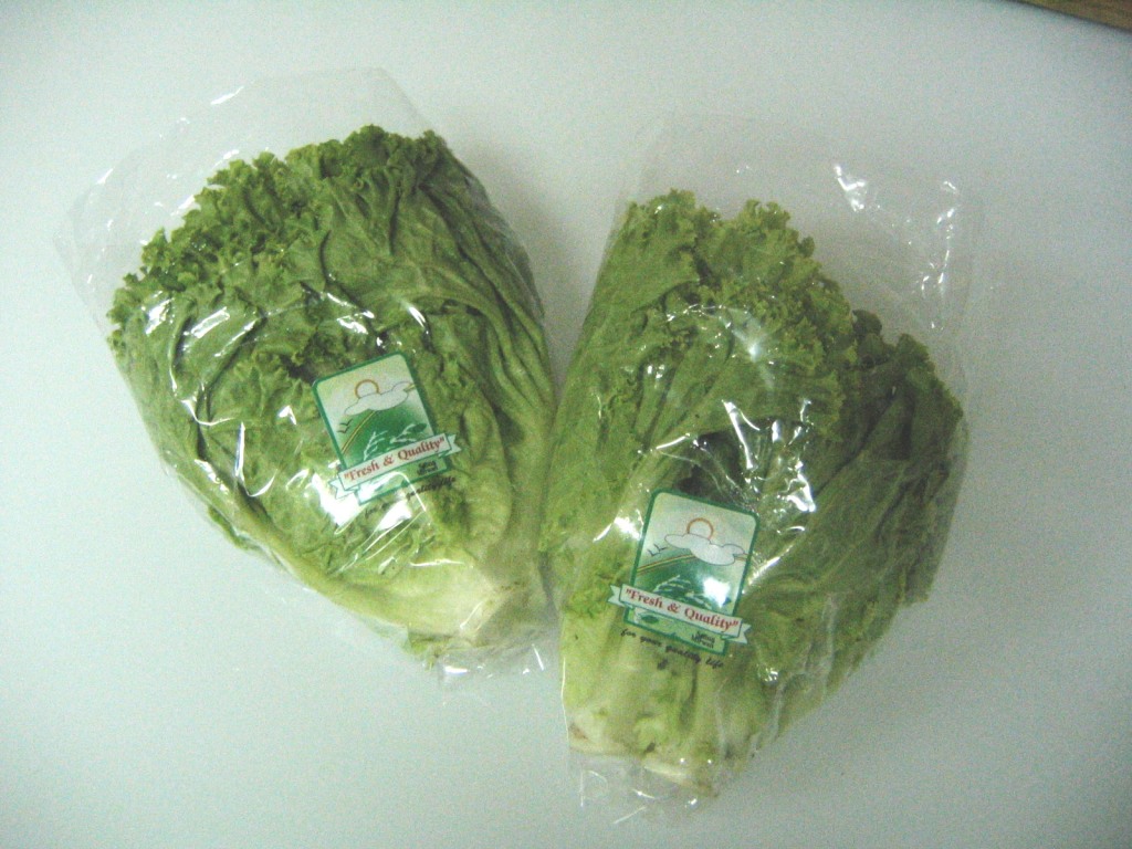 Green Curly Lettuce